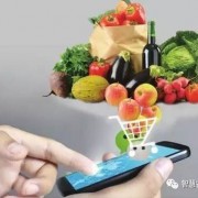 五種模式讓你讀懂農產品電商的未來